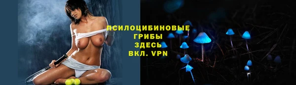 Альфа ПВП Богородск