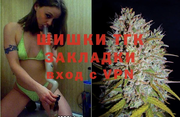 Альфа ПВП Богородск