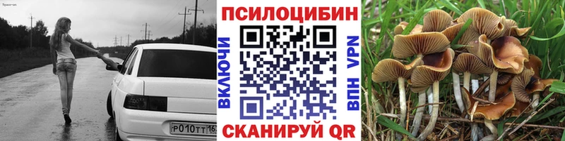 Псилоцибиновые грибы Cubensis  blacksprut ссылки  Якутск 