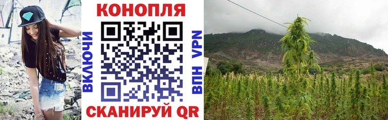 наркота  Якутск  Конопля ГИДРОПОН 